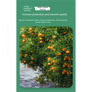 Nông nghiệp nước hòa tan <span class=keywords><strong>NPK</strong></span> 17-17-17 phân bón hữu cơ cho lĩnh vực cây cao tháp hạt trắng 40kg - Product Image 3
