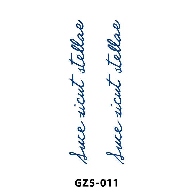 GZS-011