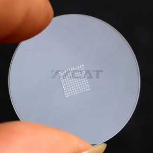 C5 Fabricante Fornecimento Net Escala Parasita Médico Microscópio Calibração Régua