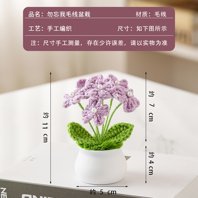 Plante en pot myosotis violet clair