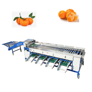Macchina di smistamento a rulli a sfera classificatore di frutta e verdura di grande capacità - Product Image 2
