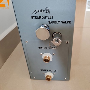 <span class=keywords><strong>Gs08</strong></span> Stoomkamergenerator, 3kw Tot 12kw, Stoommondstuk, Automatische Afvoer - Product Image 3