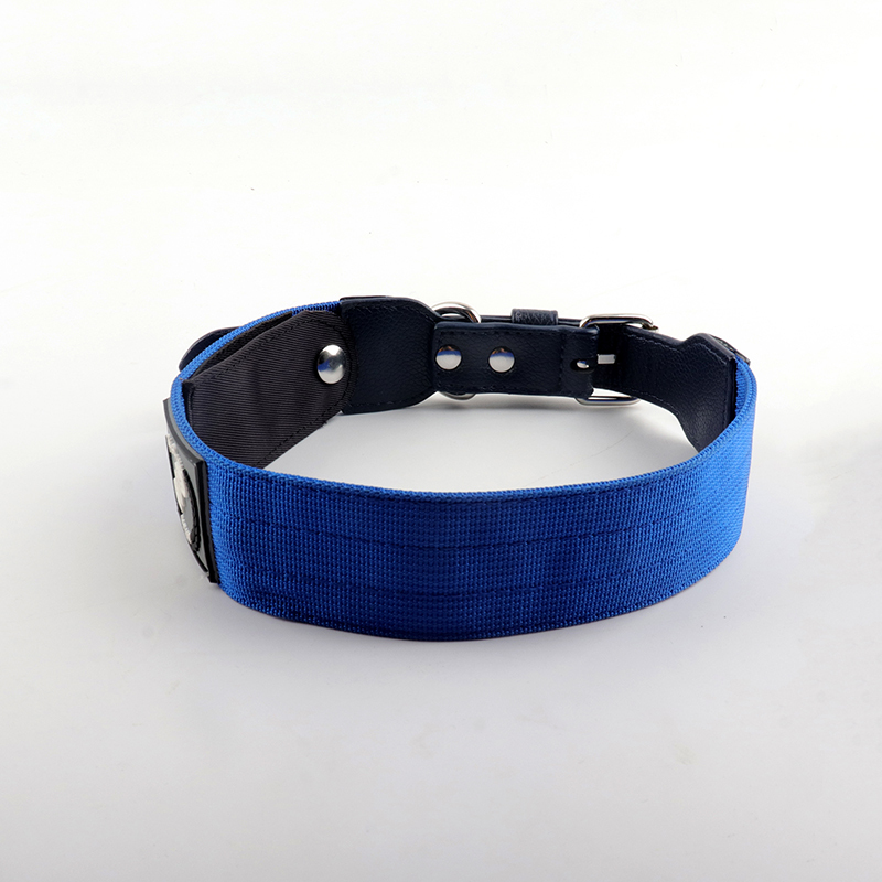 collar 5