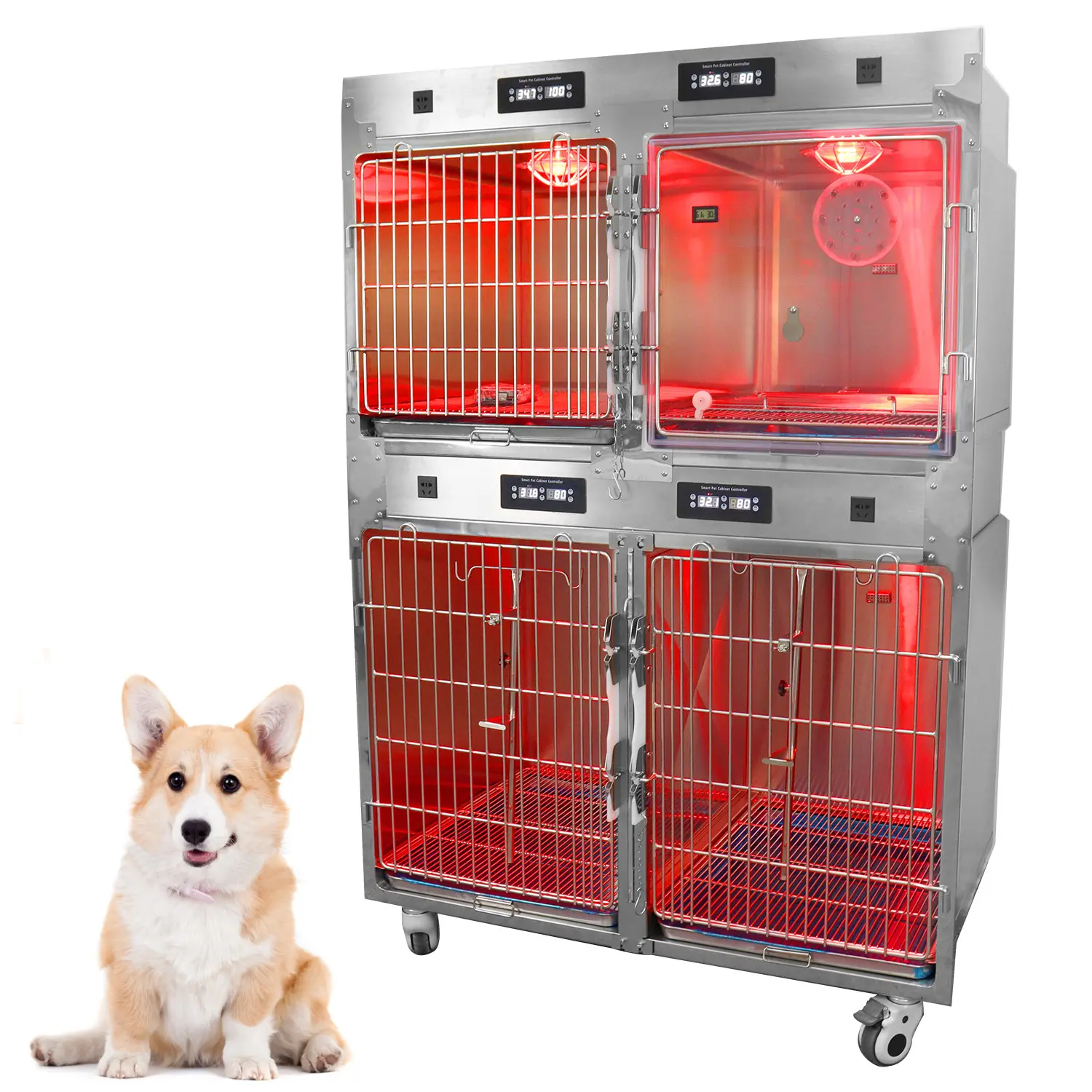 vet clinic used ICU veterinary dog and cage bank modular cage banks