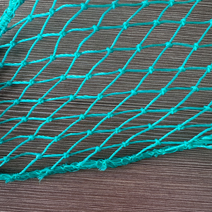 <strong>1</strong> Inch Plastic Chicken <strong>Netting</strong> for Poultry Farms and <strong>Gardens</strong> Protective Fence for Breeding Customizable Cutting Service - Product Image 3