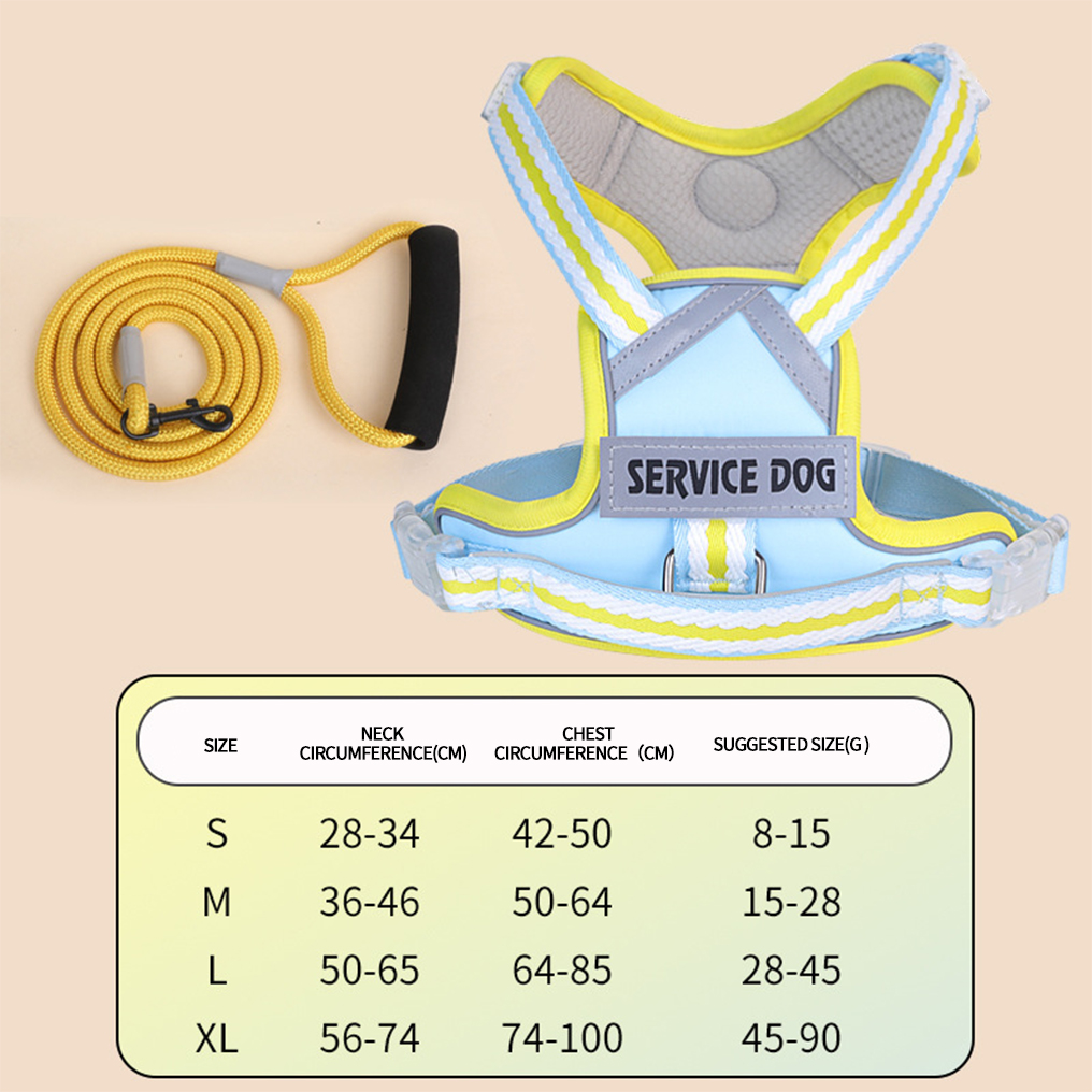 สายรัดสีน้ำเงิน + สายจูง