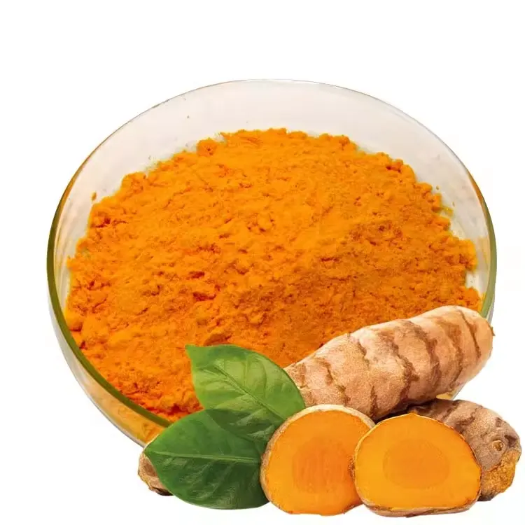 Pure Kurkuma Curcuma Longa Extract Organische Curcumine Poeder Kurkuma Wortel Extract 95% Curcumine Poeder