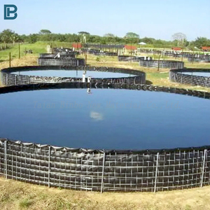 Su geçirmez baraj rezervuar gömlekleri balık çiftliği tankı için HDPE geomembran su ürünleri yetiştiriciliği için 0.3mm-1.2mm polietilen - Product Image 3