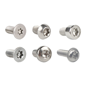 M1 M1.2 M1.4 M1.6 M1.8M2なべ頭トルクスステンレス鋼ミニネジ - Product Image 3