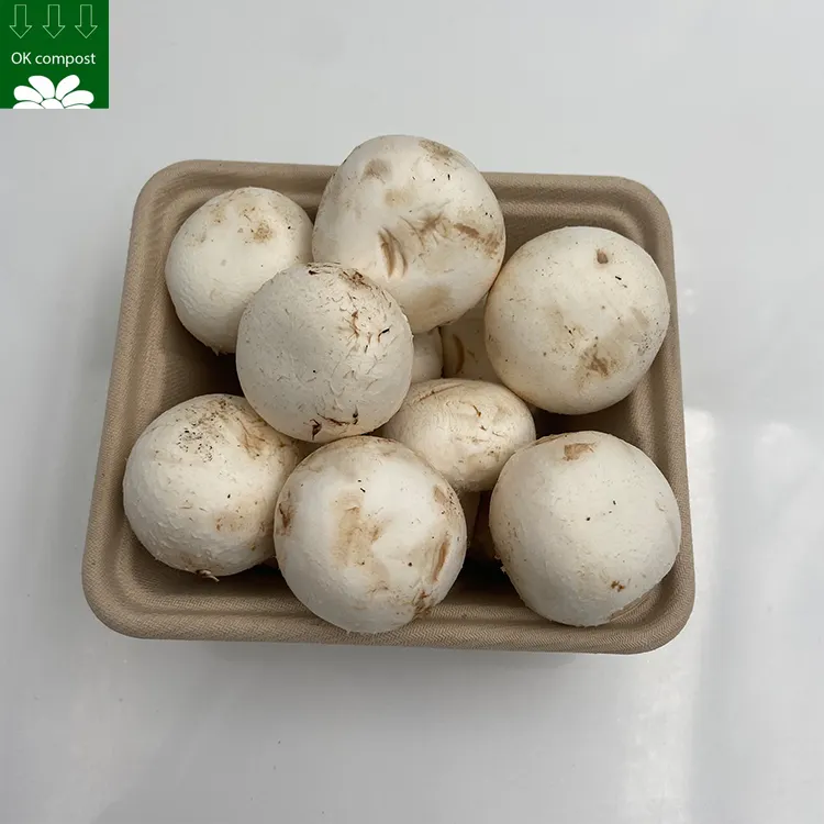 Custom Service Biodegradable Eco Friendly Sugarcane Bagasse Pulp Mushroom Tray Container For Supermarket