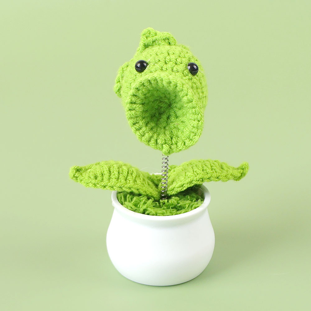 Pea shooter potted plant