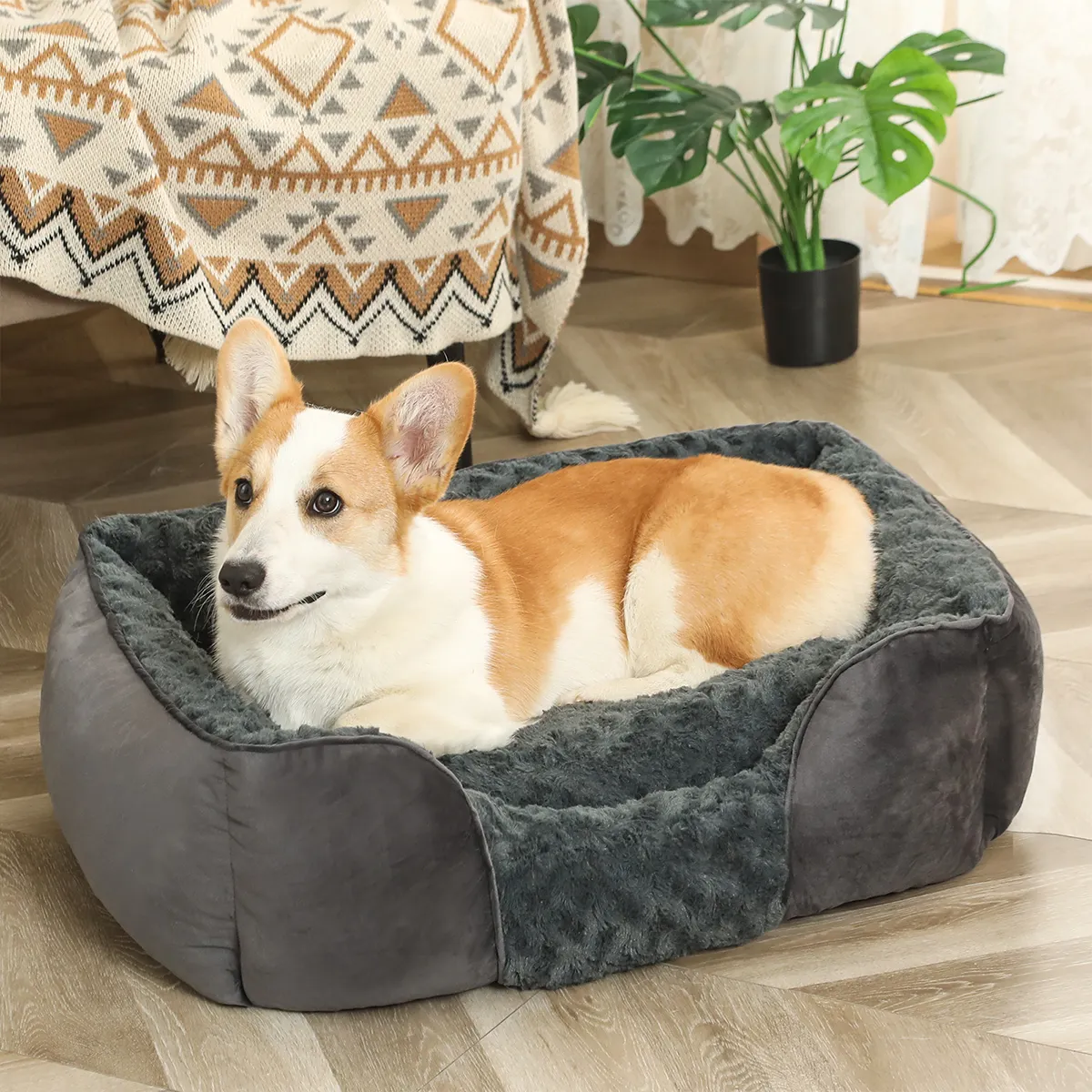 CF Pet Dog Corgi Puppy Cómodo sofá para mascotas Nido Gris oscuro sucio lavable nido para mascotas adecuado para la escuela en casa Empresa