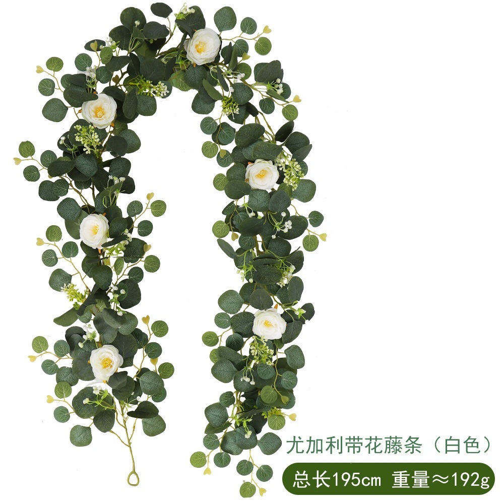 72 lianes d'eucalyptus à fleurs, blanches