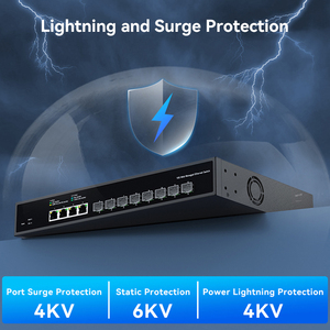 12 Port 10G Web yönetilen anahtarı 10Gb ağ anahtarı ağ Hub Internet Splitter ile VLAN/LACP/SNMP/DHCP istemci - Product Image 3