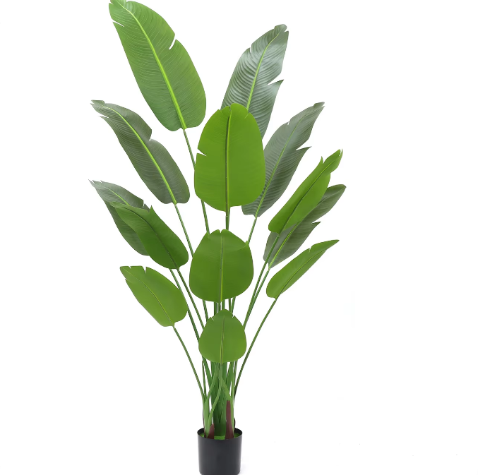 Banane voyageuse 210 cm
