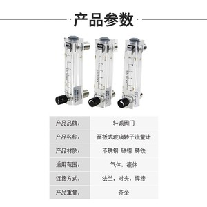 艾占沃面板水处理流量柱浮子式管道流量计，保修1年 - Product Image 5