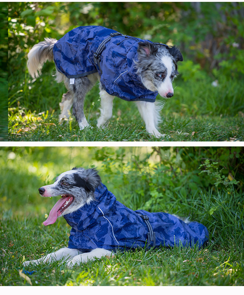 Camouflage bleu