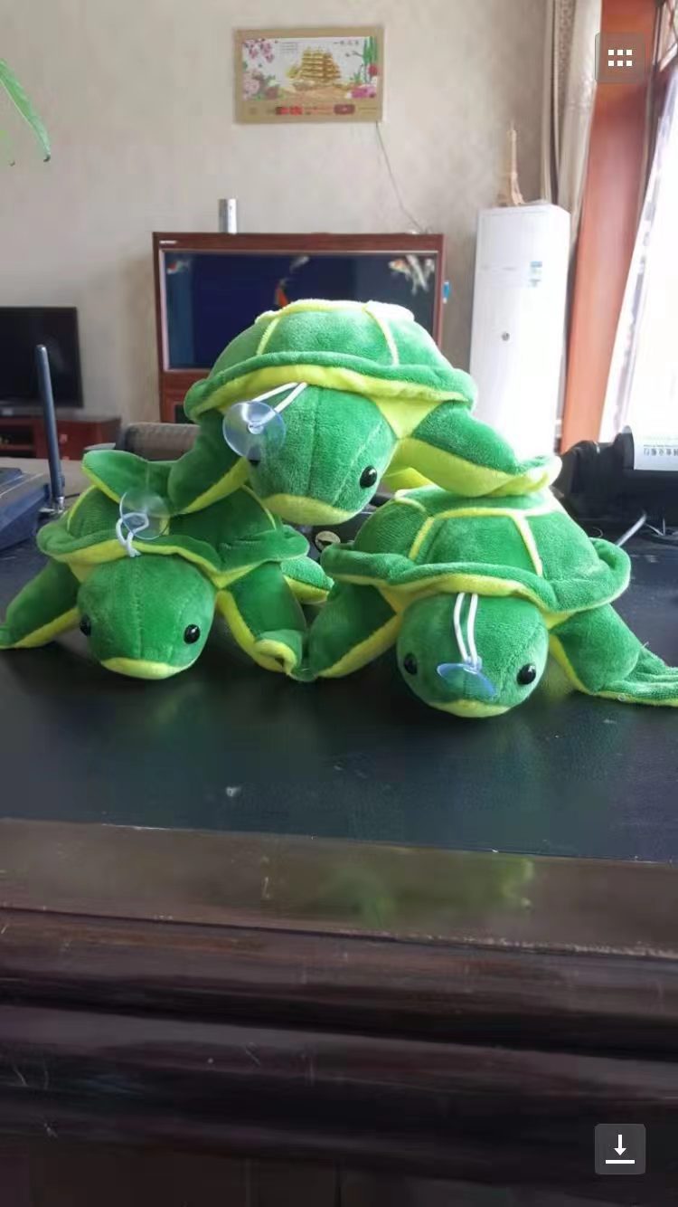 Súper tortuga de cristal - 18cm--20cm