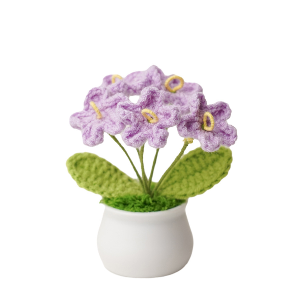 Bonsaï Myosotis violet