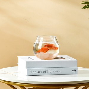 JSD Máy Tính Để Bàn Vòng Glass <span class=keywords><strong>Globe</strong></span> Fish Tank Aquarium Bình Ánh Sáng Oxy Bơm Thực Tế Cho Sử Dụng Hàng Ngày Ngân Sách Thân Thiện Tùy Chọn - Product Image 2