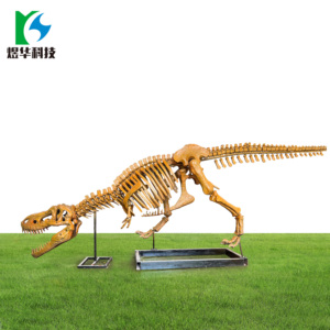 博物馆教育模拟恐龙化石展示 - Product Image 6