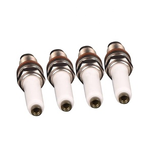 LR 04E905612大众良好的点火效率性能火花塞 - Product Image 2