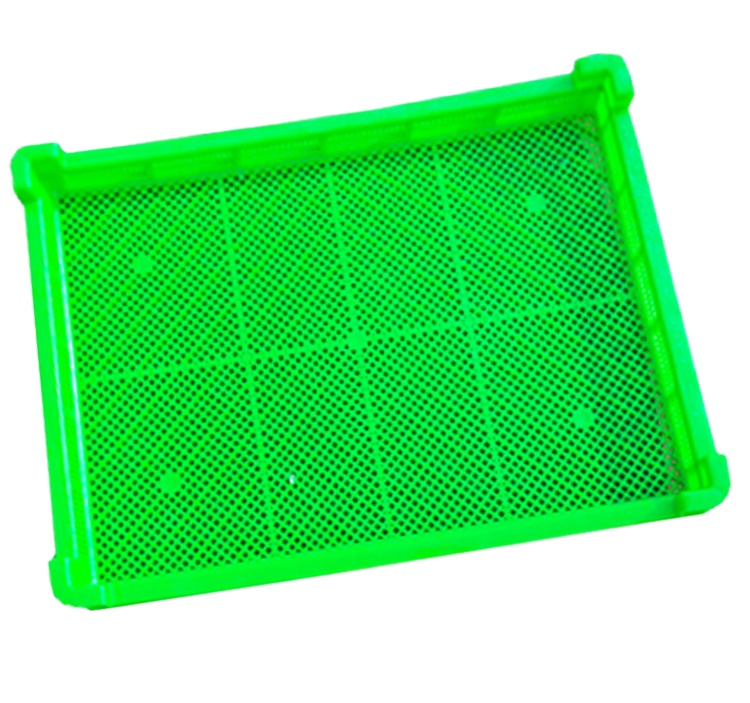 Vert