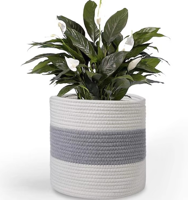 Bianco grigio 1 20cm