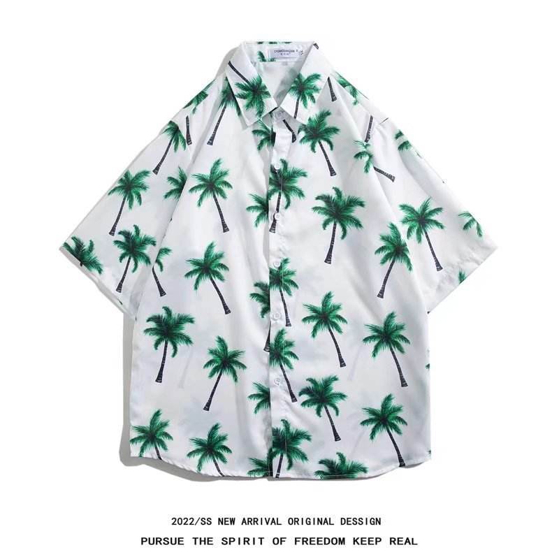 3020 สีขาว