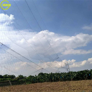 unsichtbares vogelnetz fang-vogelnetz nebel vogelnetz - Product Image 6