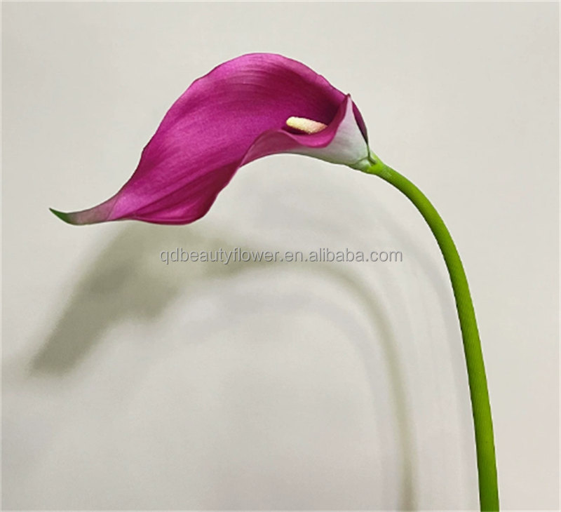 Purple Red