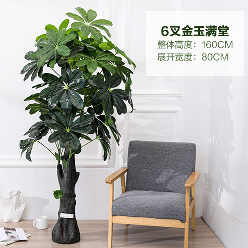 Arbre de jade doré 160cm-sans pot
