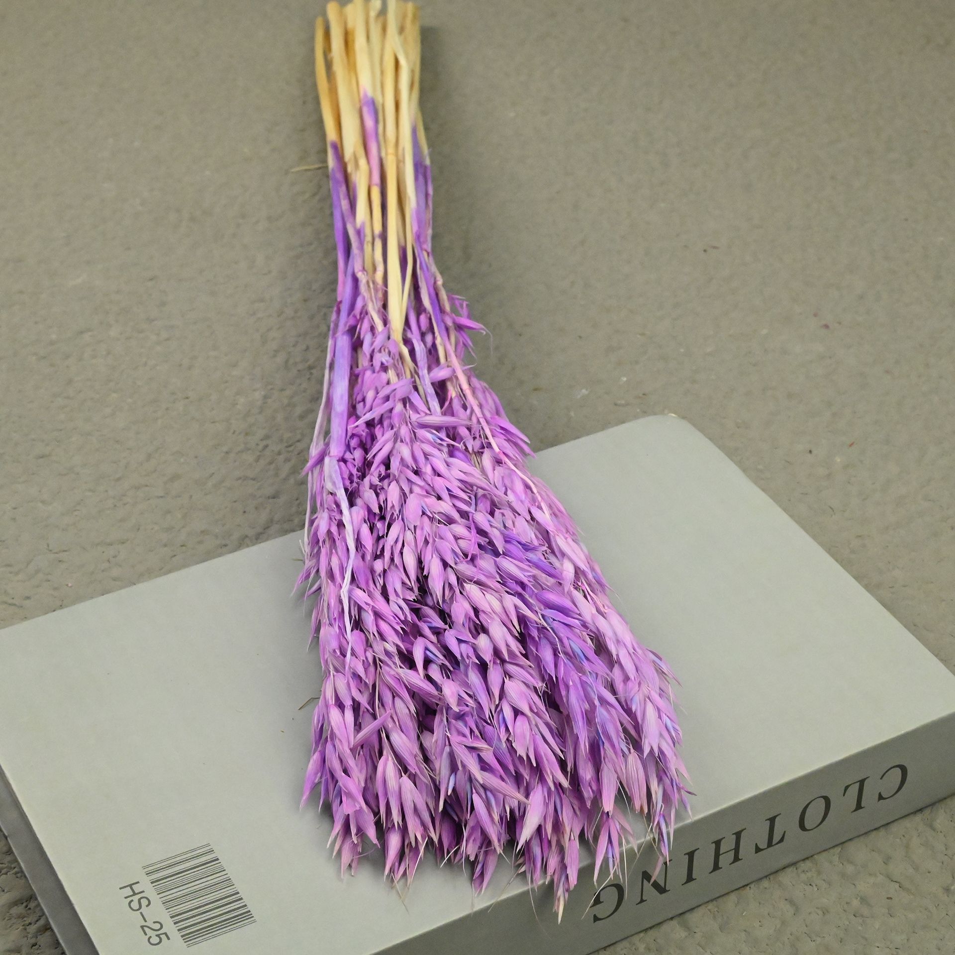 Oat purple