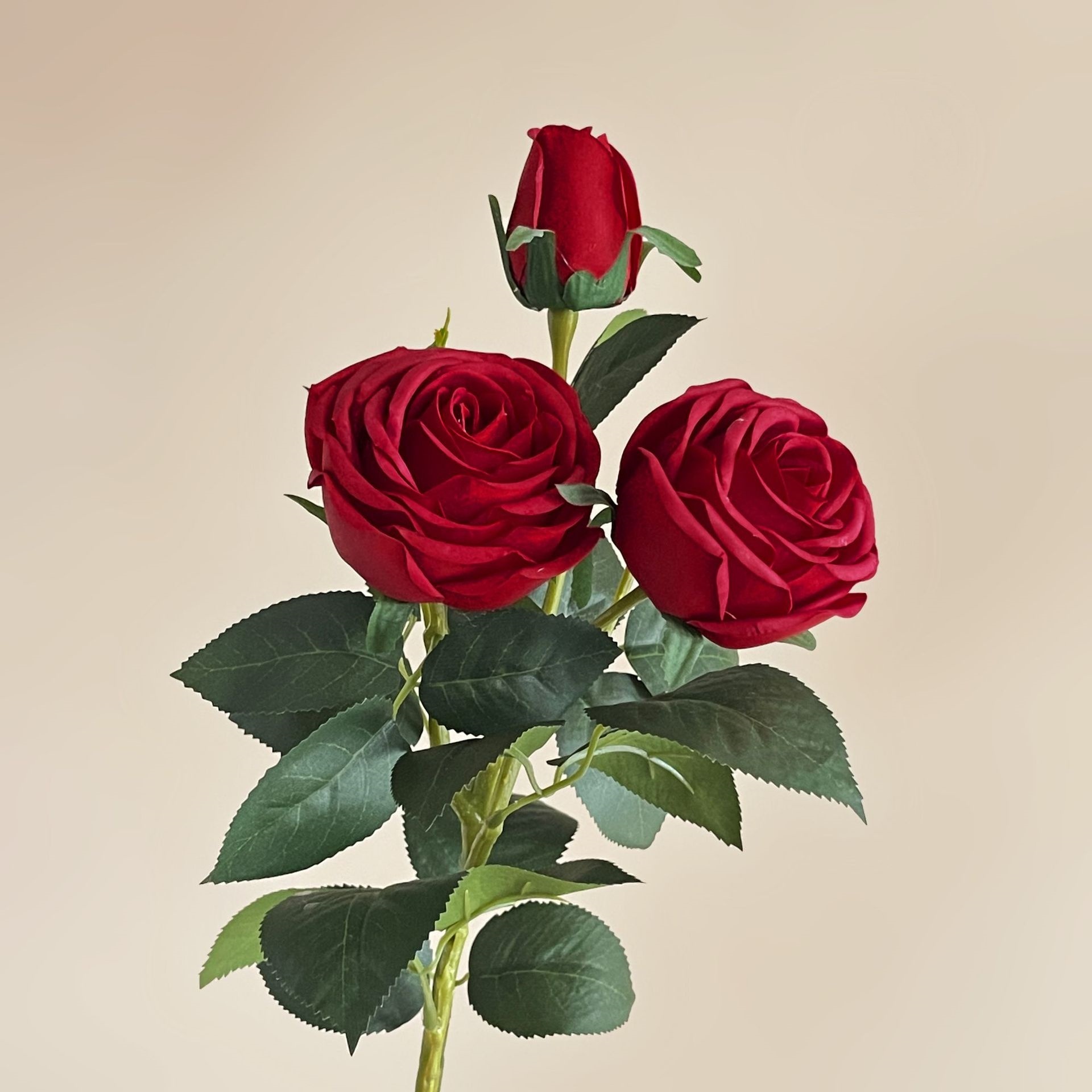 Rosso