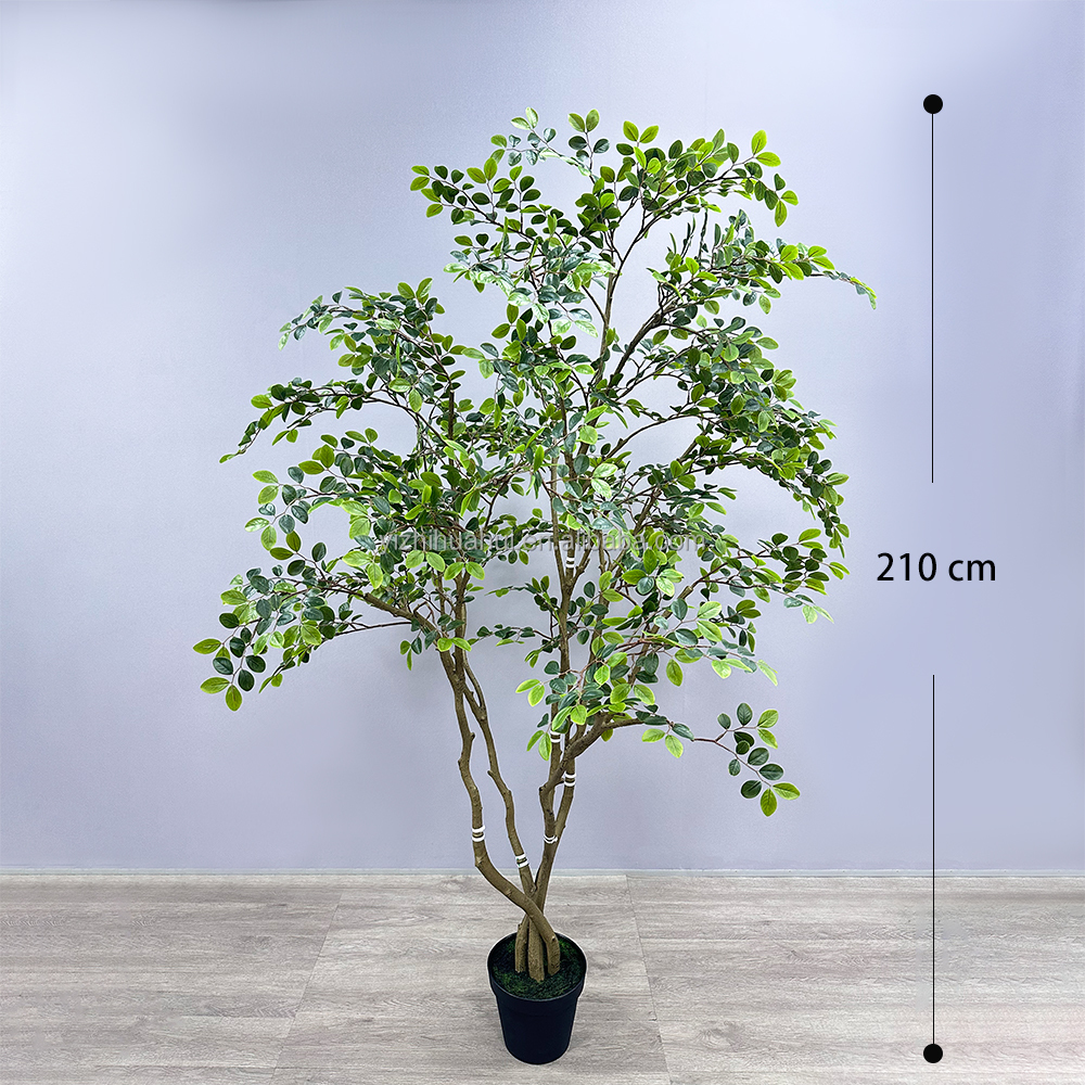 Bois de rose vert-210cm