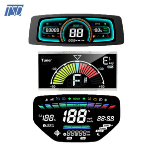Benutzer definierte VA TN HTN STN FSTN DFSTN <span class=keywords><strong>Segment</strong></span> Grafik Monochrom <span class=keywords><strong>LCD</strong></span>-Anzeige