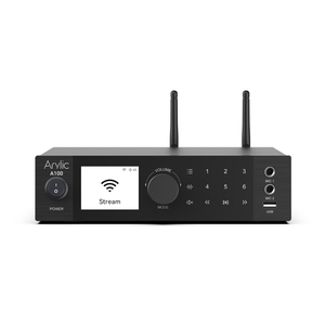 A100 100W * 2 amplificador de potencia MIC entrada Internet con Radio FM Audio profesional sistema de sonido de cine en casa amplificador