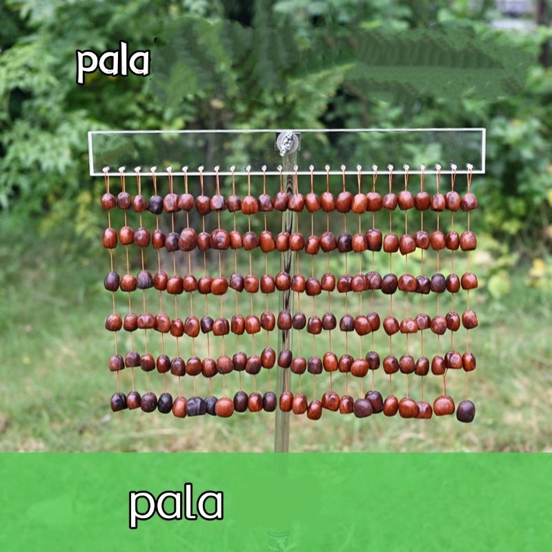 Pala
