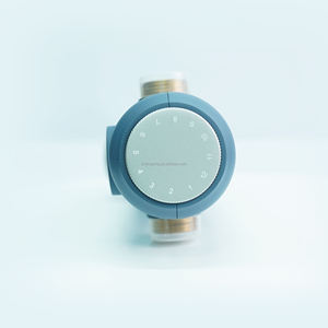 用于去除沉积物和铁锈的高流量可冲洗水过滤器 - Product Image 6