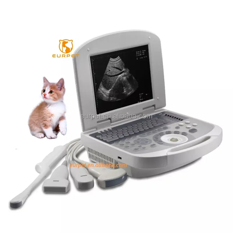 EUR PET Panic Buying Ultrason Probe Cover Better Siterite Vascular Ultrasound Machine à ultrasons Toshiba