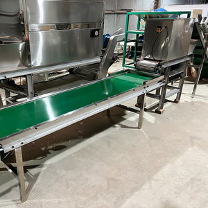 Otomatik sarımsak soyma işleme makineleri sarımsak tozu üretim hattı sarımsak soyucu hattı - Product Image 4