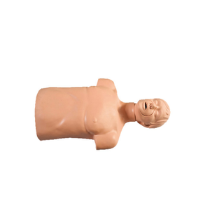 High Quality Simple Full Body Cpr Model Monitor <strong>Basic</strong> Life Support Model, Cpr Manikin Cpr Dummy Model - Product Image 5
