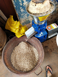 Small <strong>Feed</strong> Pellet Production Line Animal Food <strong>Processing</strong> Line - Product Image 3