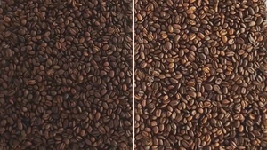 Coffee <strong>Beans</strong> <strong>Color</strong> Sorter, Coffee <strong>Beans</strong> Sorter Machine,coffee Sorter