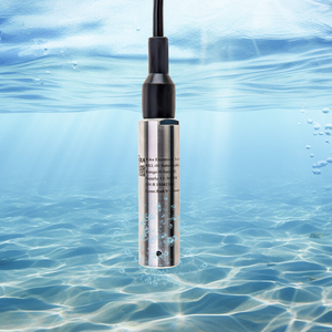 RIKA-Sensor de nivel de líquido para tanque de agua sumergible, medidor capacitivo de electrodo Zigbee RS485, sonda detectora de transmisor, 316SS, 316SS - Product Image 1