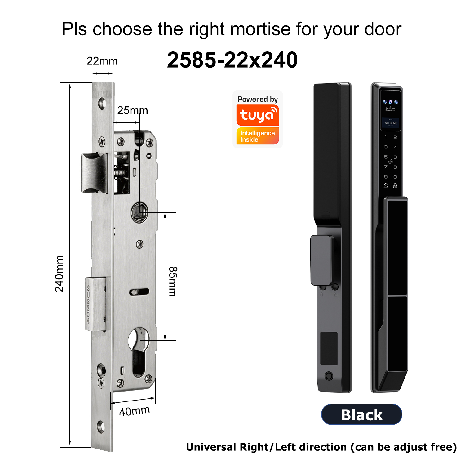 Z5 with 2585 Swing Single-point Mortise(22x240mm)