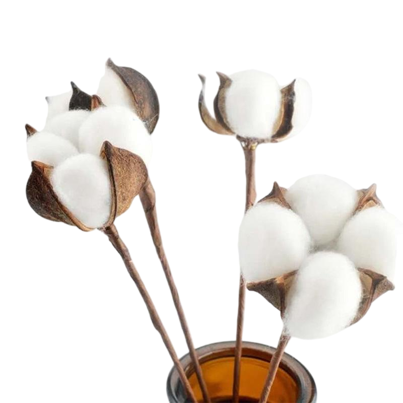 Suyan White