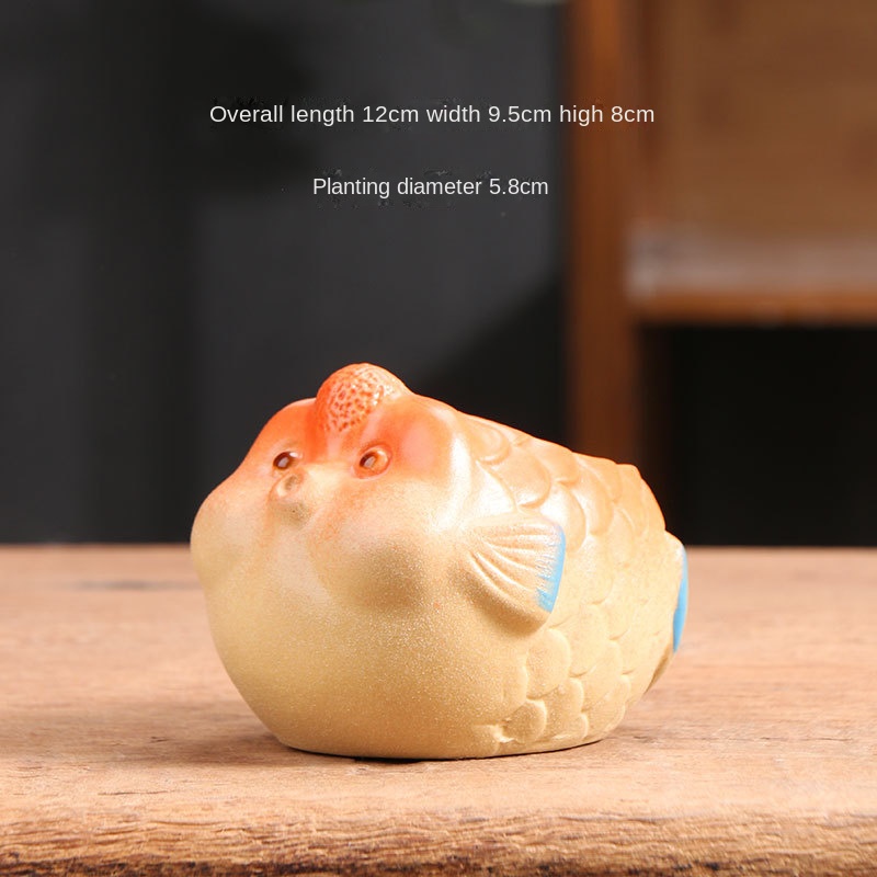 Poisson bulle