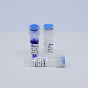 Tinzyme XbaI Restriction Endonuclease Suitable for Rapid Enzymatic Digestion of Plasmid DNA, PCR Products, or Genomic DNA. - Product Image 2