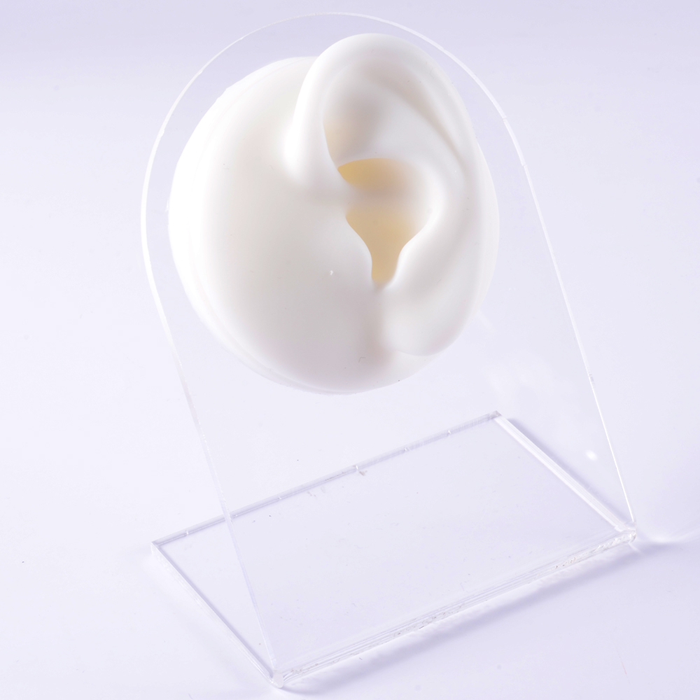 Oreille gauche blanche